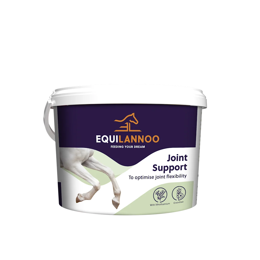 Equilannoo Joint support