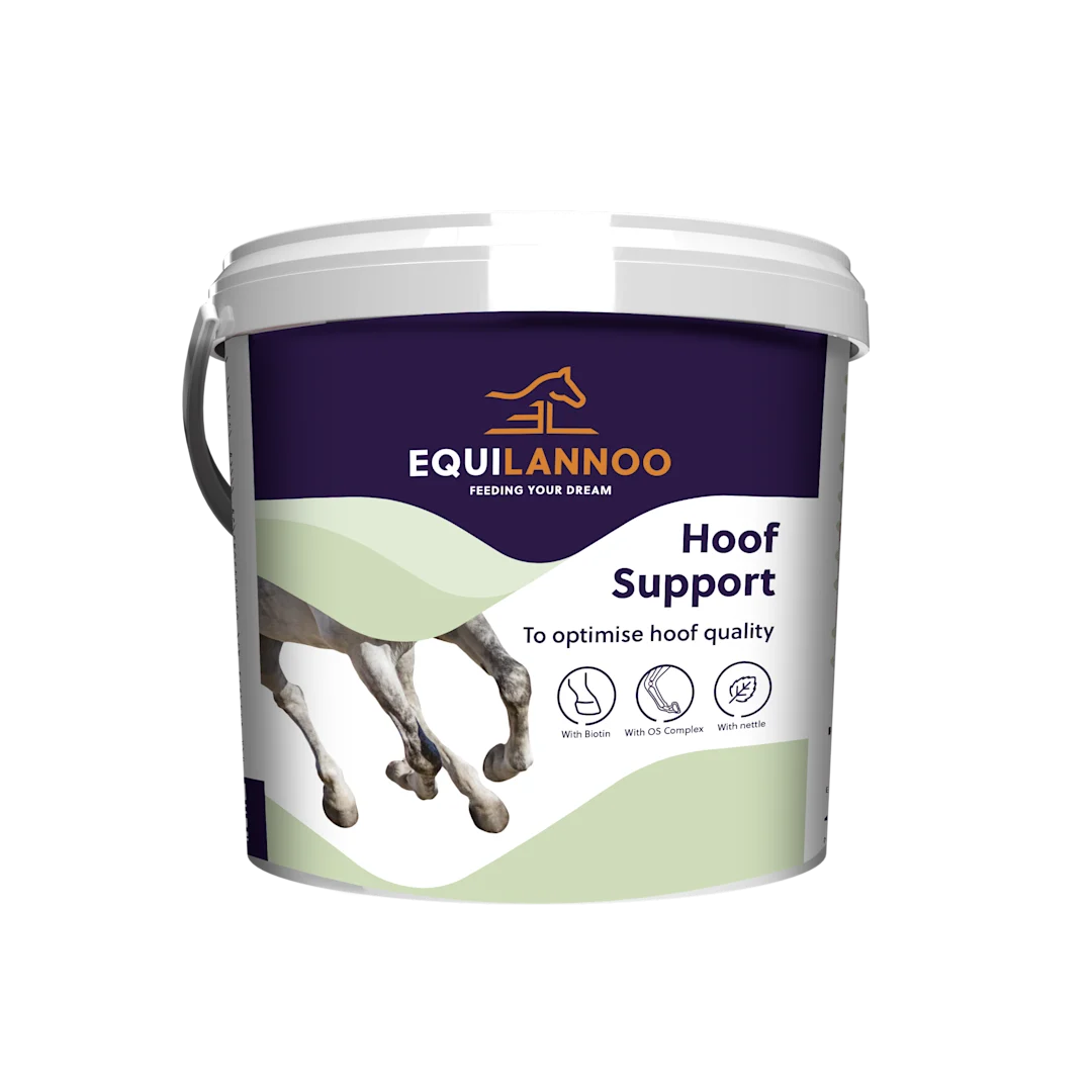 Equilannoo Hoof support