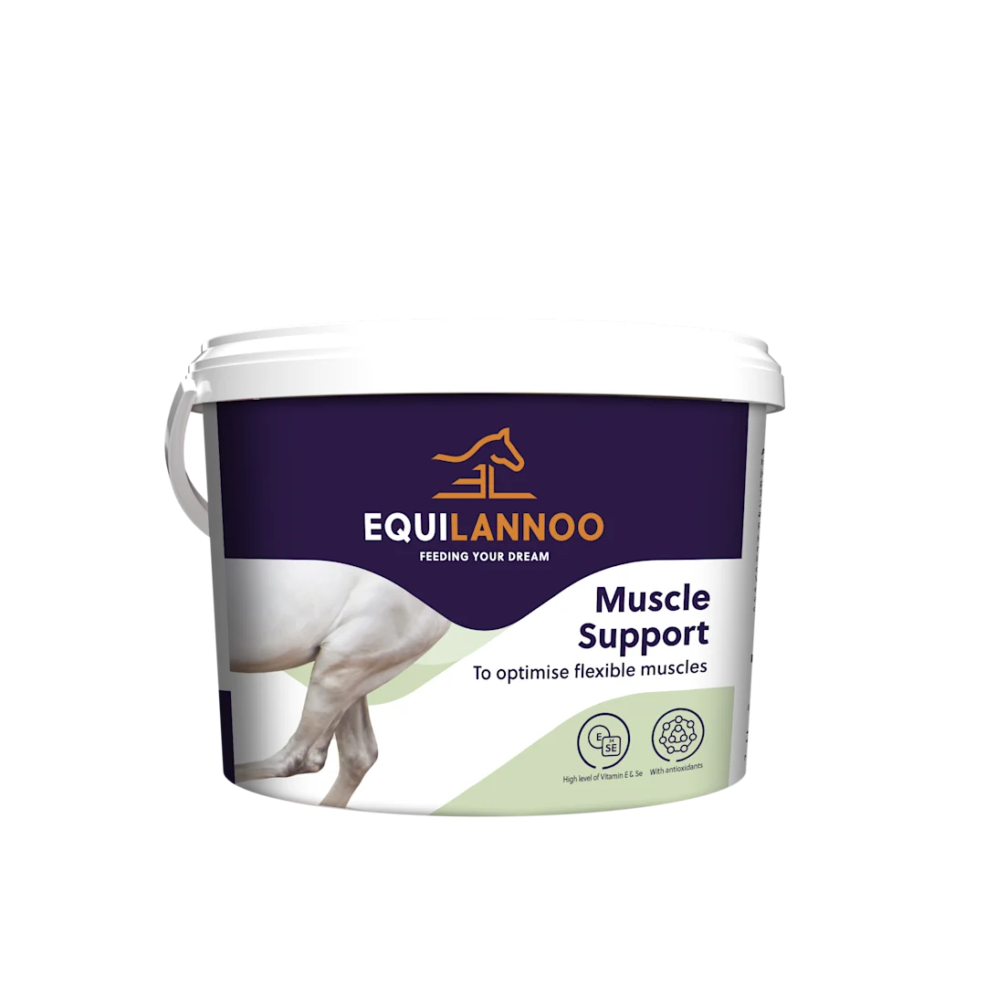 Equilannoo Muscle support